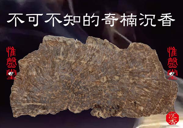 你不可不知的奇楠沉香| 陳興夏教授野生沉香普洱老茶專業會所