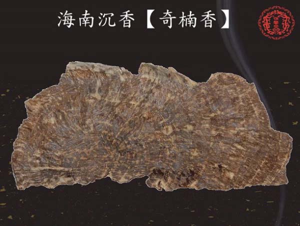 海南沉香中有「奇楠香」嗎？ | 陳興夏教授野生沉香普洱老茶專業會所